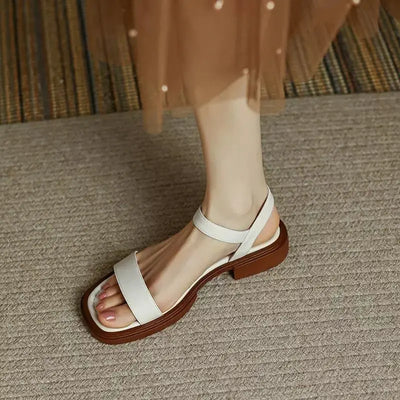 Valestra | Rose Path